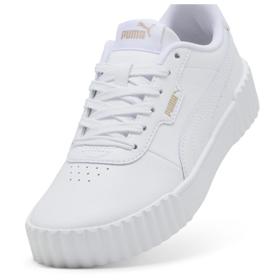 Puma Carina 3.0